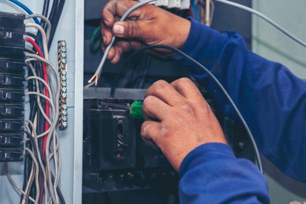 Best Electric Panel Repair  in Wrens, GA